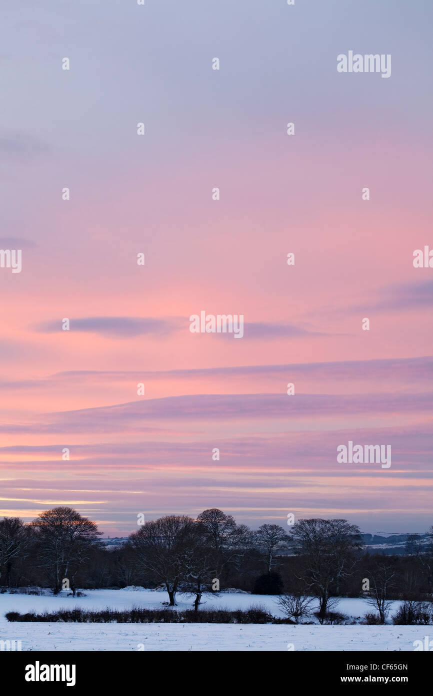 A pink evening winter sky over a snow covered field. Stock Photo