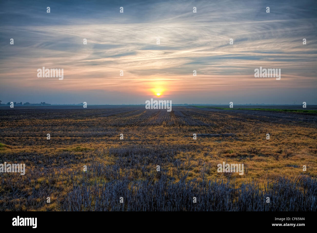 Sunset over flat fields in the Cambridgeshire fens. Stock Photo