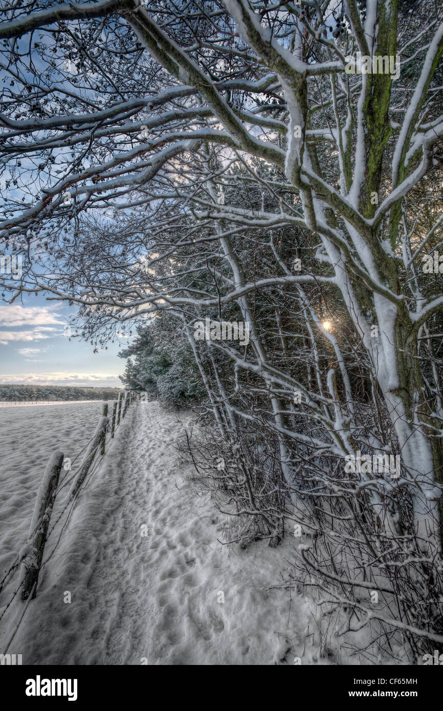 A snow-covered footpath between open fields and forest in rural County Durham. Stock Photo