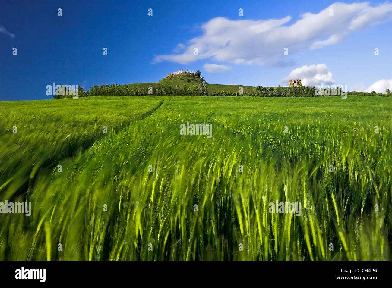 A view across a field toward Sandal Castle near Wakefield. Stock Photo