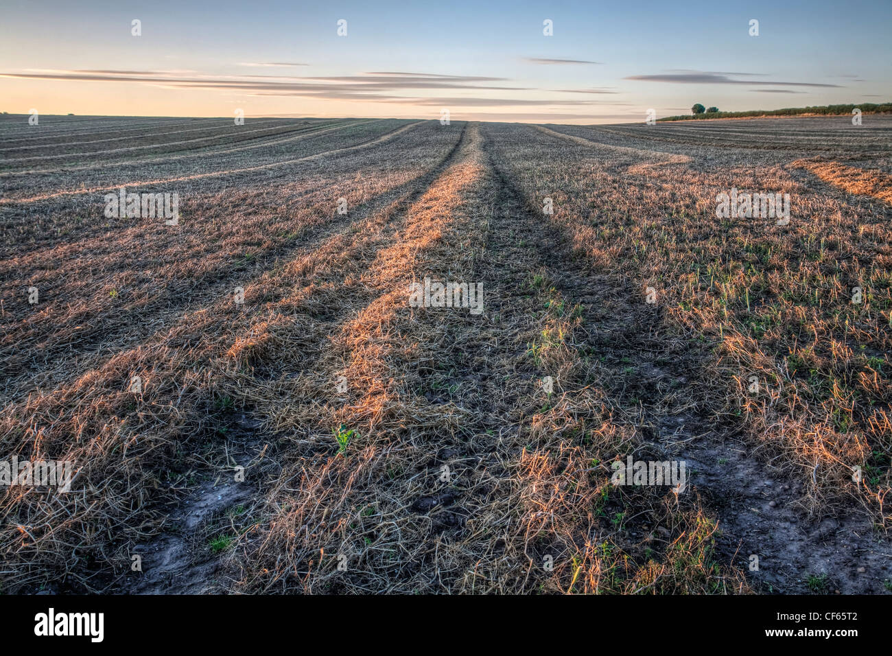 Plough lines in a field Stock Photo Alamy