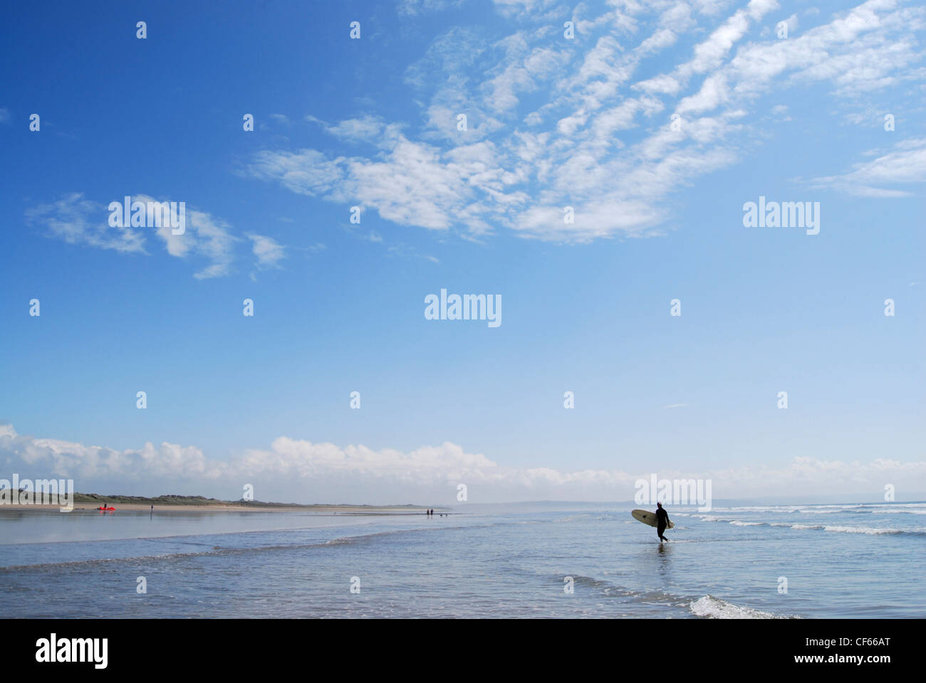 A surfer in the shallows on the beach at Saunton Sands. Stock Photo
