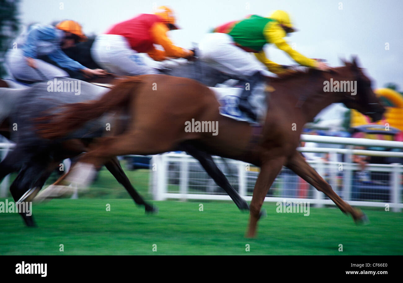 Horse racing at Leicester Racecourse. Stock Photo