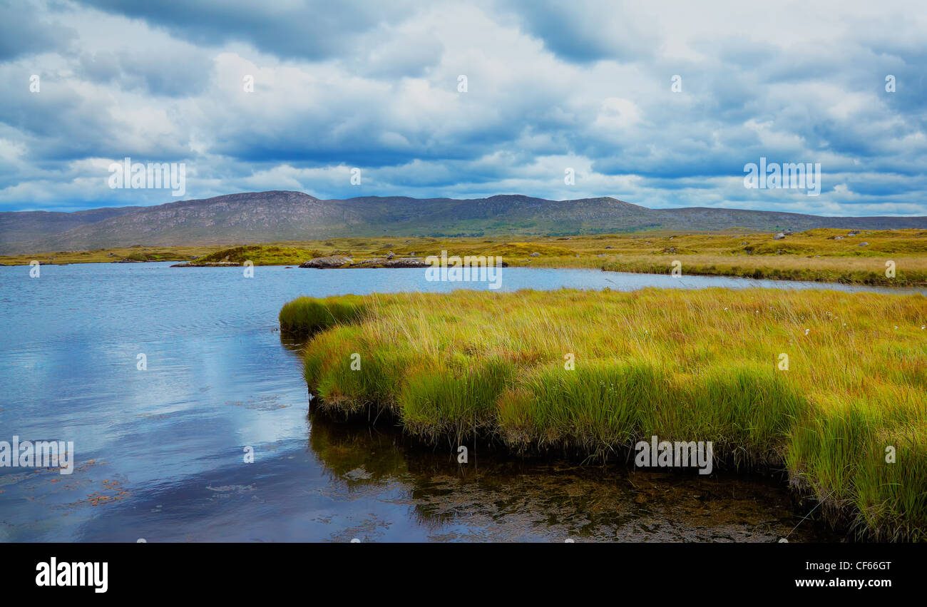 Panorama of habitat on the shore of Furnace lake in Conemara, Galway county, Ireland, before the storm. Stock Photo