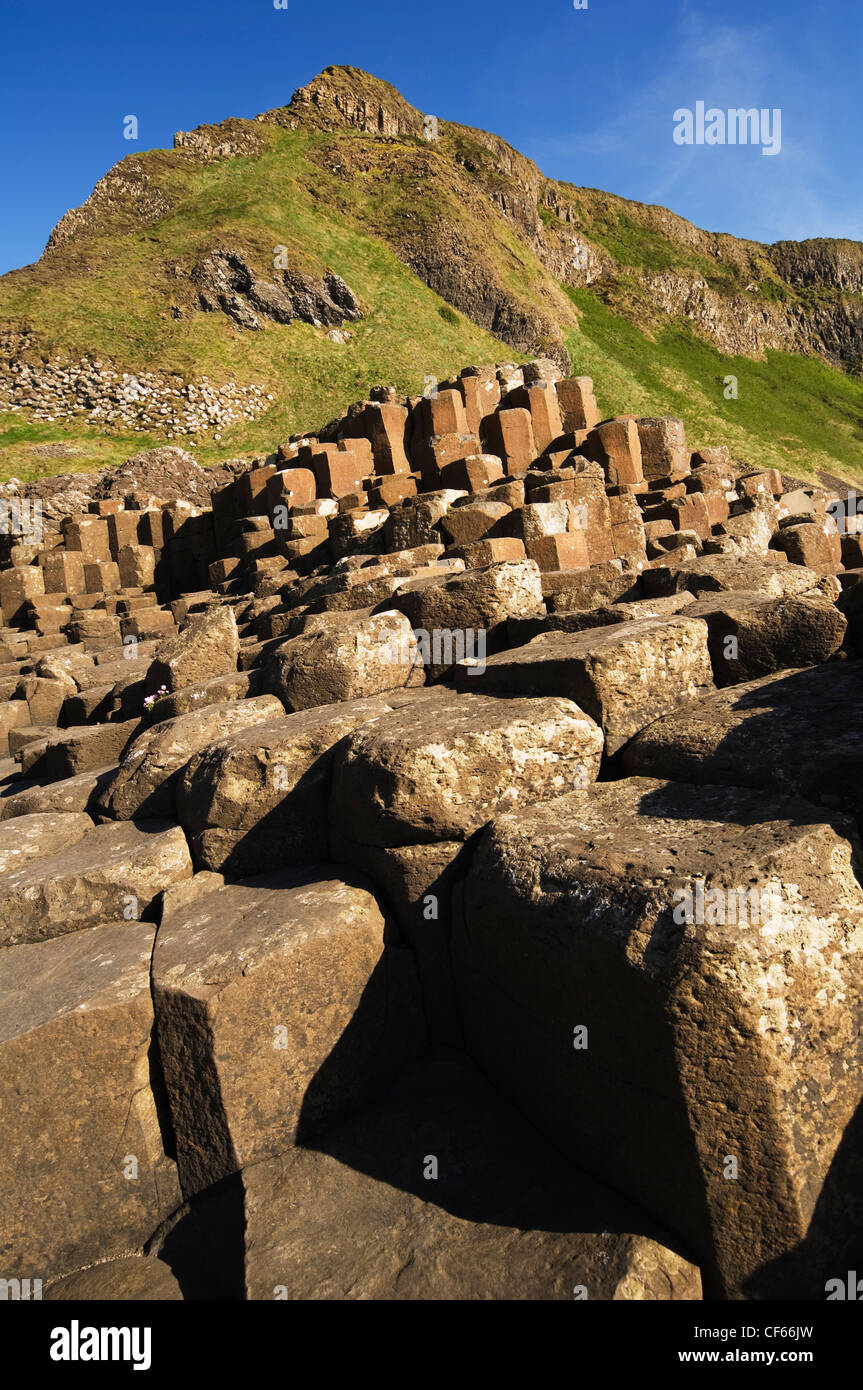 The interlocking basalt columns of the Giants Causeway,  a World Heritage Site and National Nature Reserve. Stock Photo