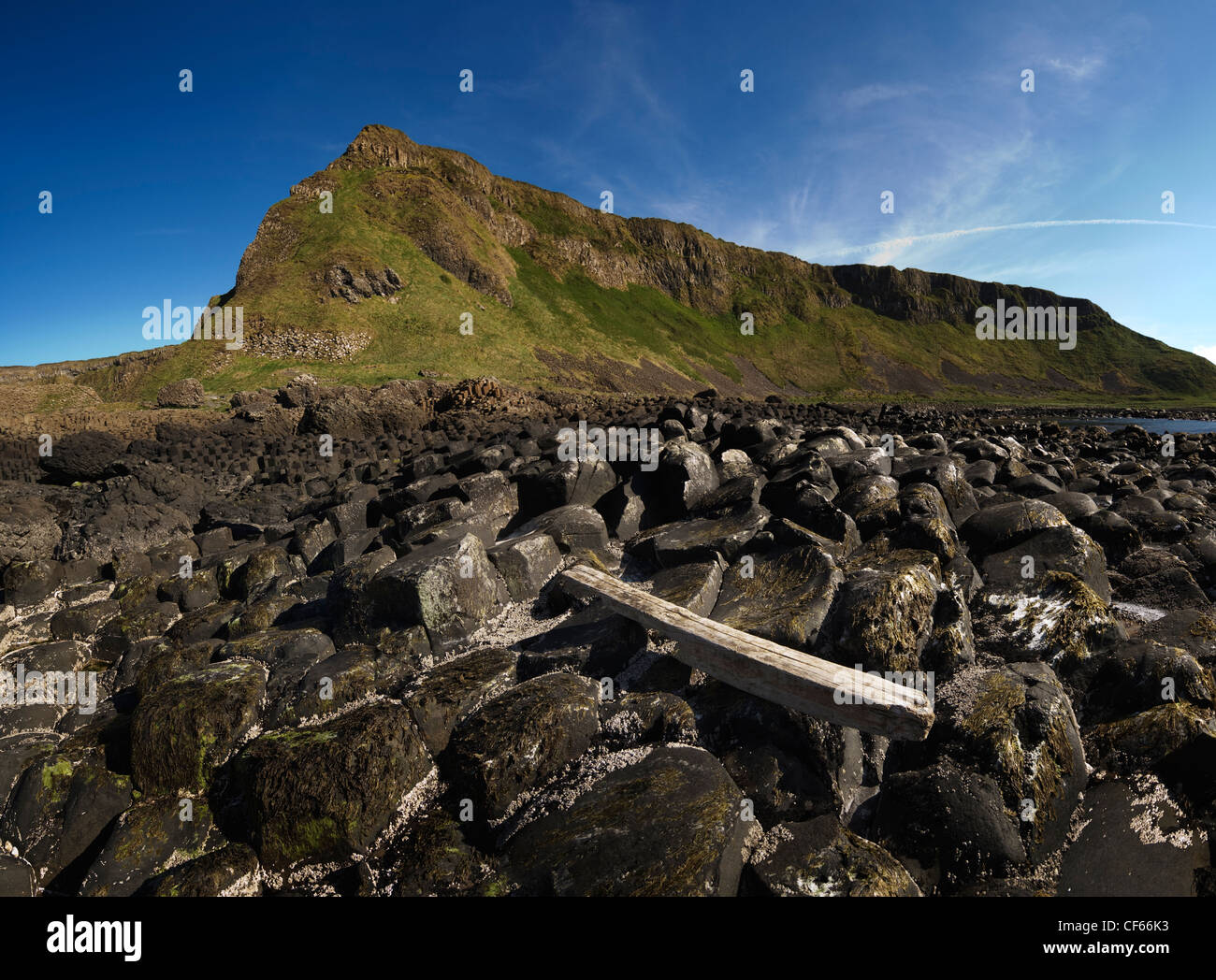 Driftwood on the interlocking basalt columns of the Giants Causeway, a World Heritage Site and National Nature Reserve. Stock Photo