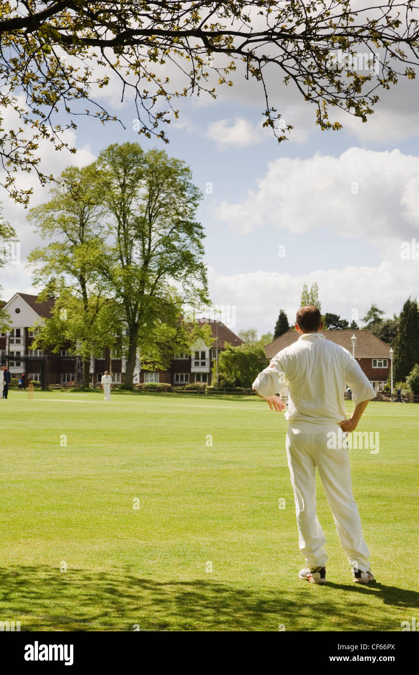 A cricketer fielding by the boundary on the Vine Cricket Ground in Sevenoaks. Stock Photo