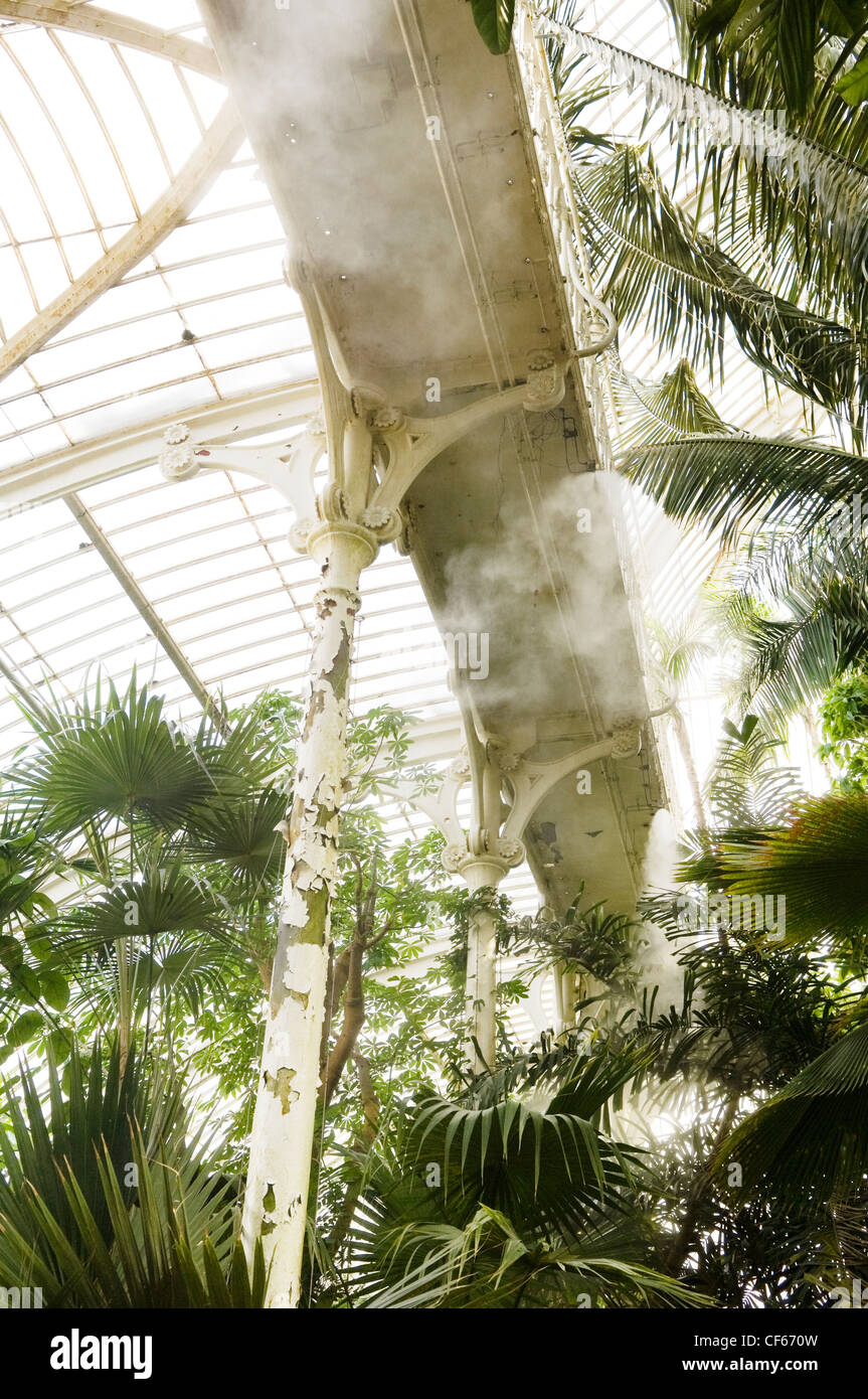 Exotic Palms inside the Palm House, the most important surviving Victorian iron and glass structure in the world, at Kew Gardens Stock Photo