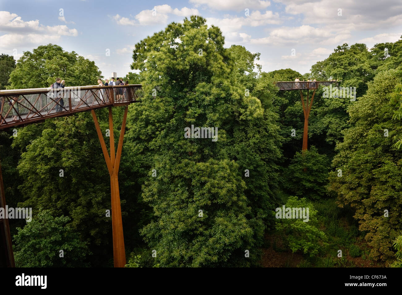 The Xstrata Treetop Walkway, a permanent new attraction in the heart of Kew Gardens, taking visitors on an amazing journey from Stock Photo