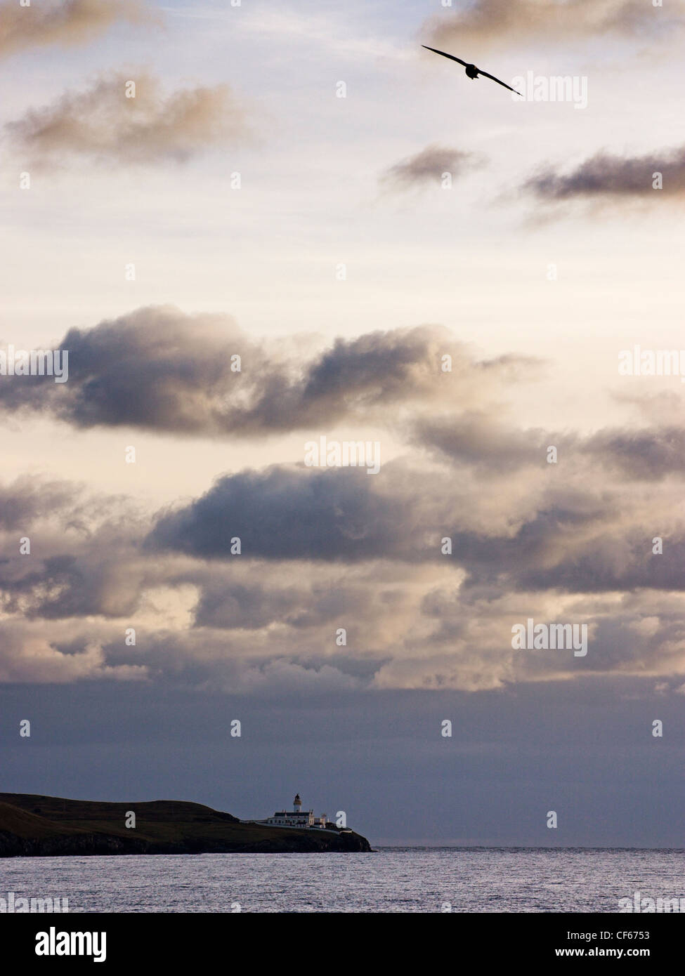 A lone seagull over the Bressay lighthouse on Shetland. Stock Photo