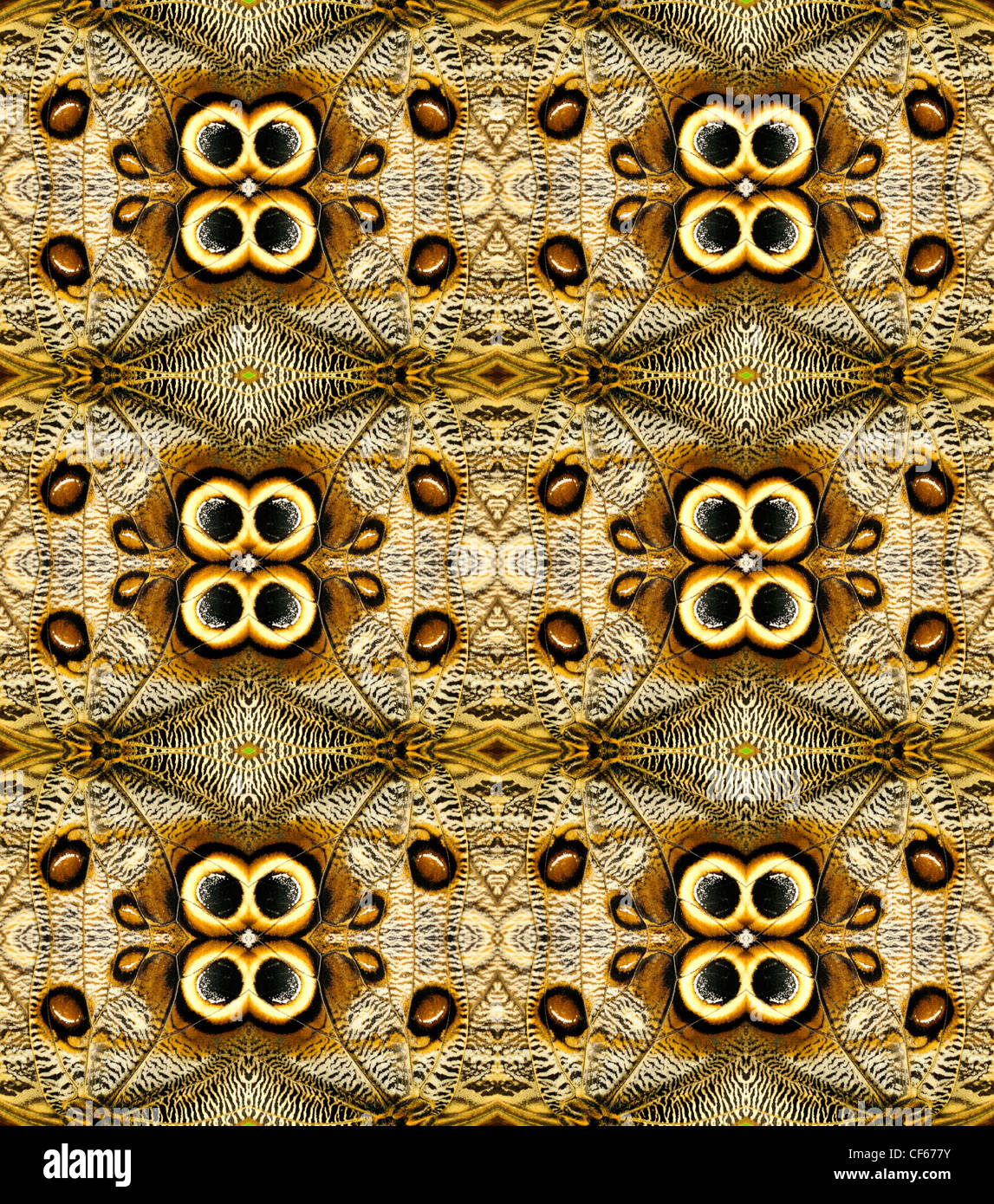 Repeated natural pattern made from image of Owl Butterfly (Caligo memnon) underwing Stock Photo
