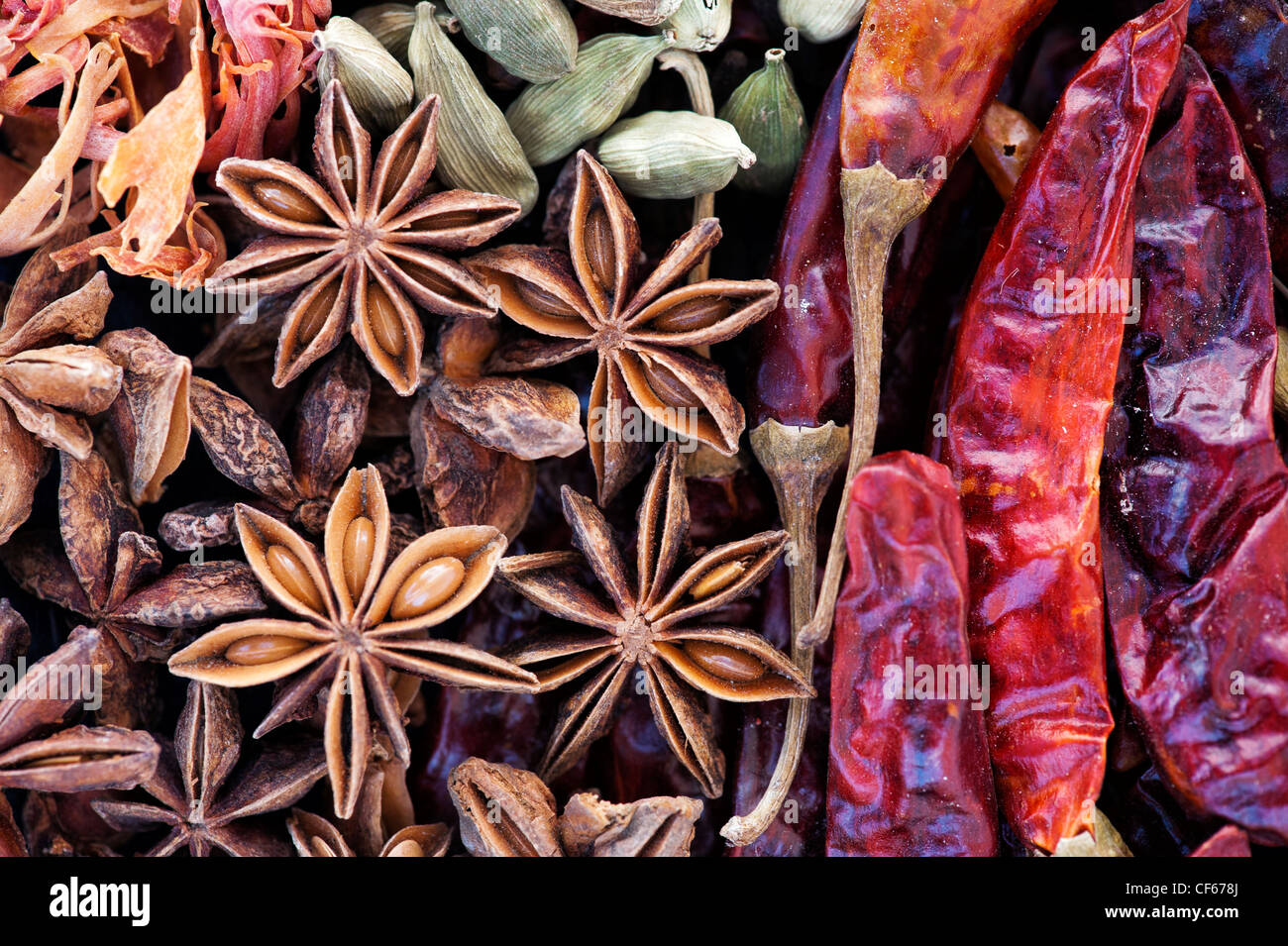 Indian cooking spices pattern. Flat lay photography from above Stock Photo
