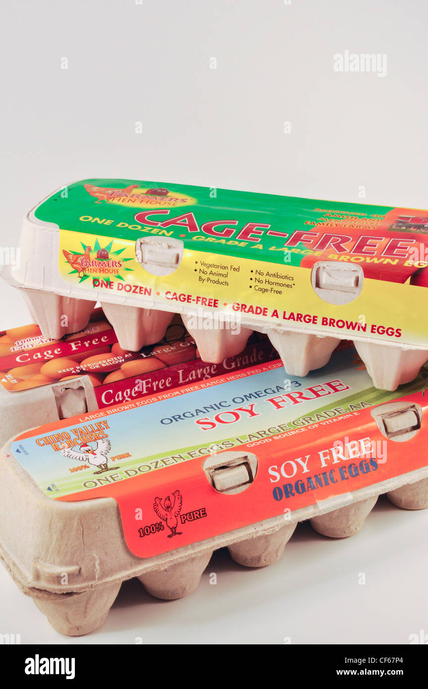 Soy-Free Large Brown Eggs