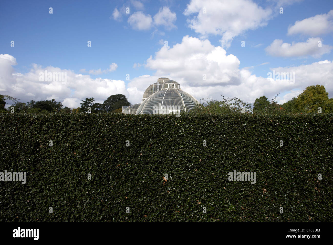 A view over hedging to the Palm House. Built 1844-48 by Richard Turner to Decimus Burton's designs, the Palm House is Kew's most Stock Photo