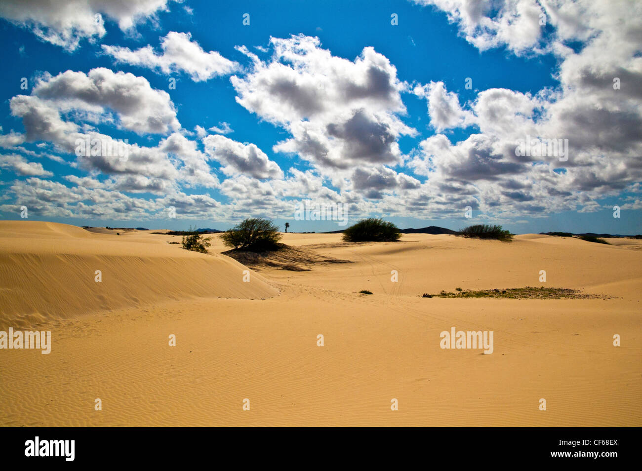 Viana desert, Boa Vista, Cape Verde Stock Photo Alamy