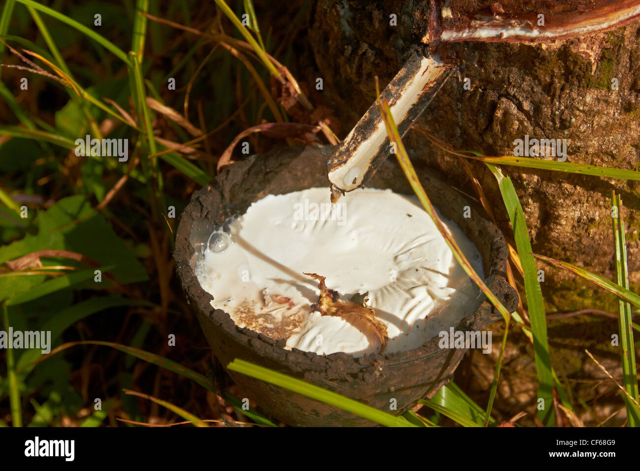 Rubber caoutchouc hires stock photography and images Alamy