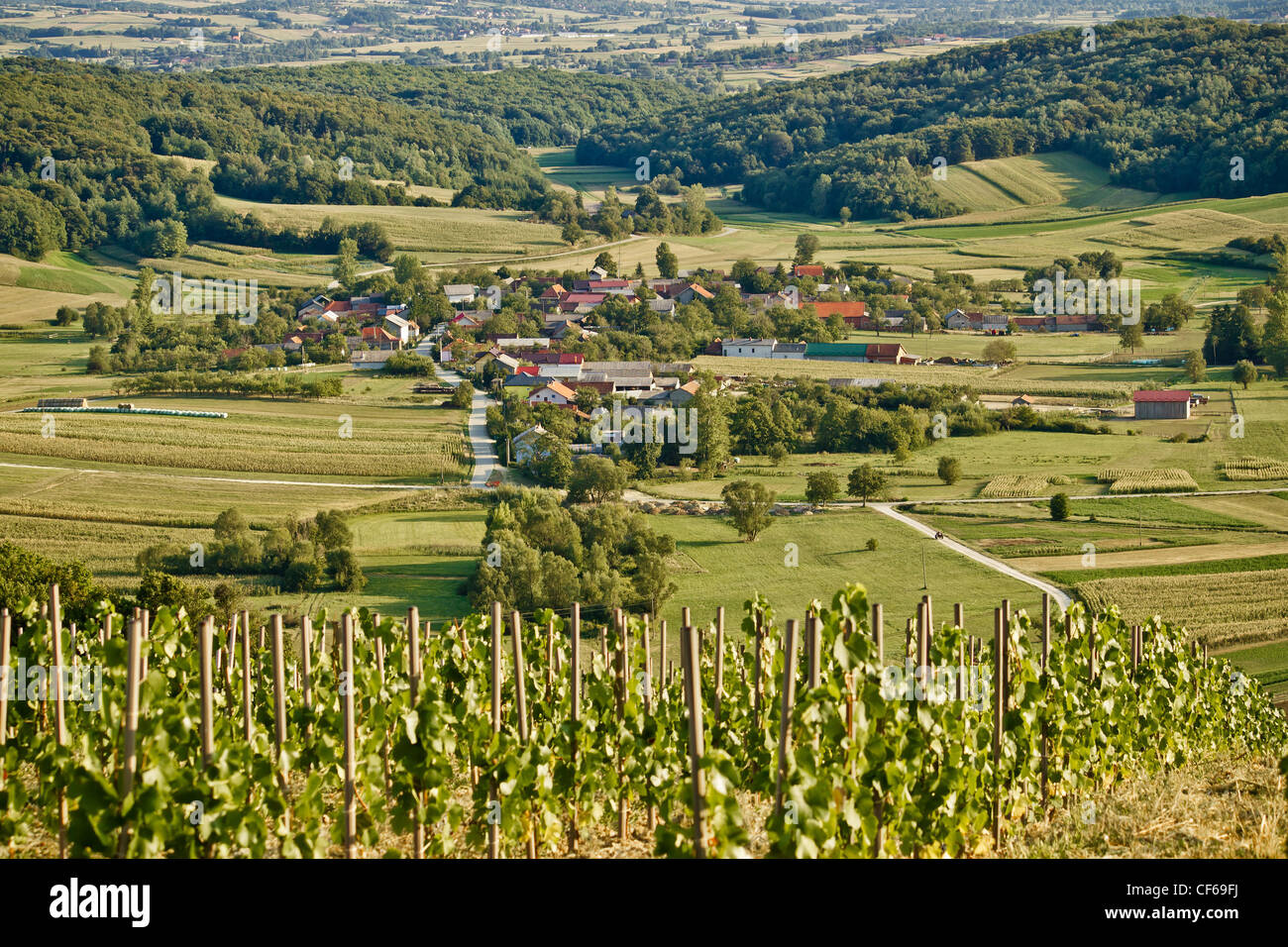 Village in green natural scenery under vineyard hill, Kalnik, Croatia Stock Photo