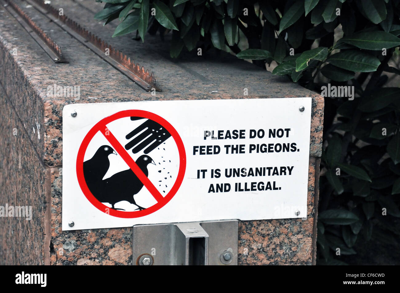 Dont feed the pigeons hires stock photography and images Alamy