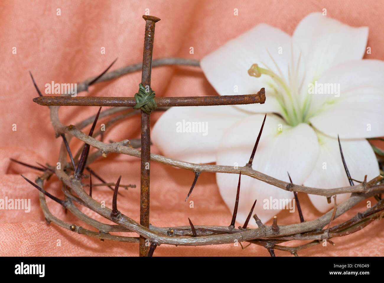 Crown of Thorns, crucifix and Easter white Lily on Beige background Stock Photo