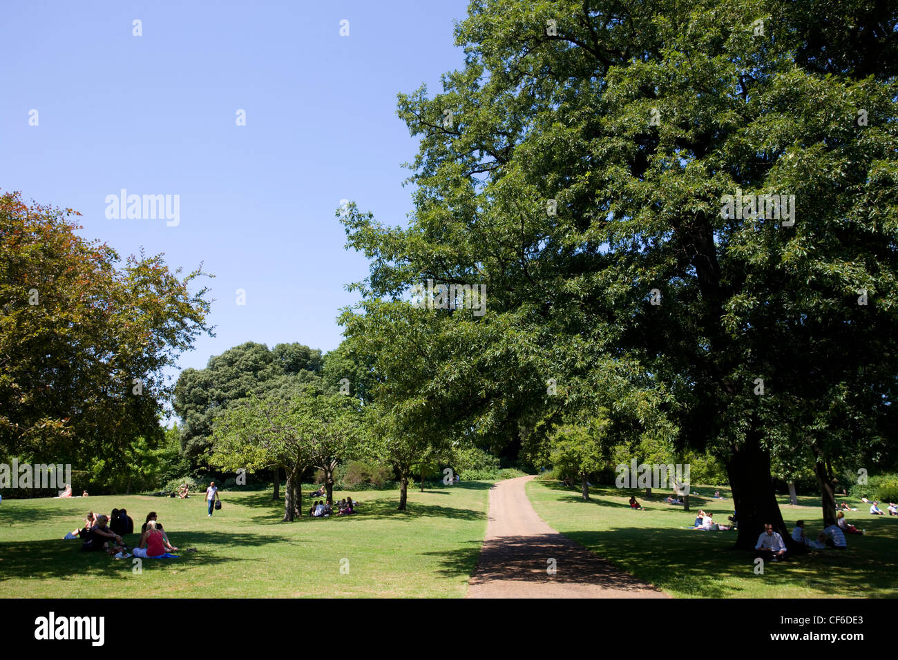People relaxing on the grass in The Regent's Park. Stock Photo