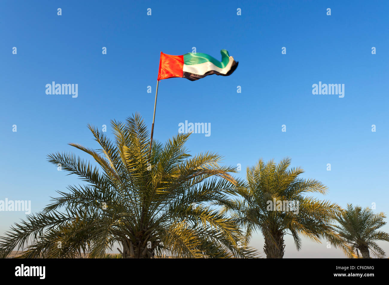 DUBAI desert flag palms oasis oase afternoon sun sundown horizon red light sand sands red blue sky evening quietly romantically Stock Photo