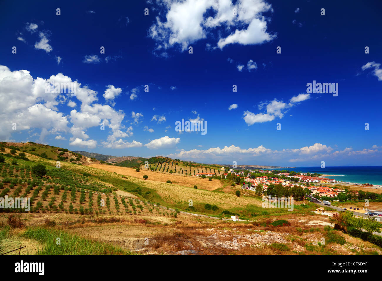 Big clearing with green bushes, trees and houses on coast under big blue sky Stock Photo