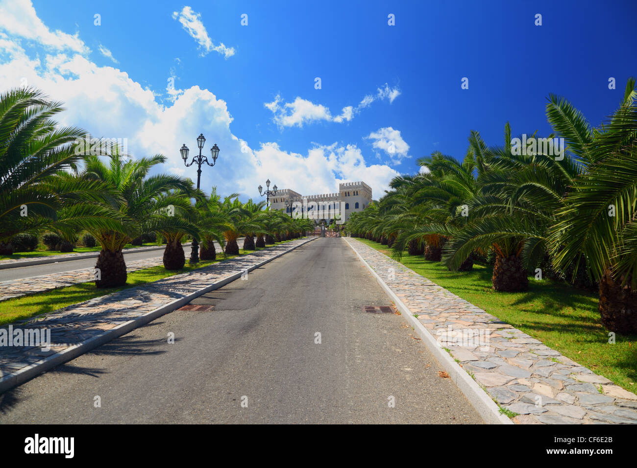 Palm trees planted in row along mall leading to ancient white castle on sunny day Stock Photo
