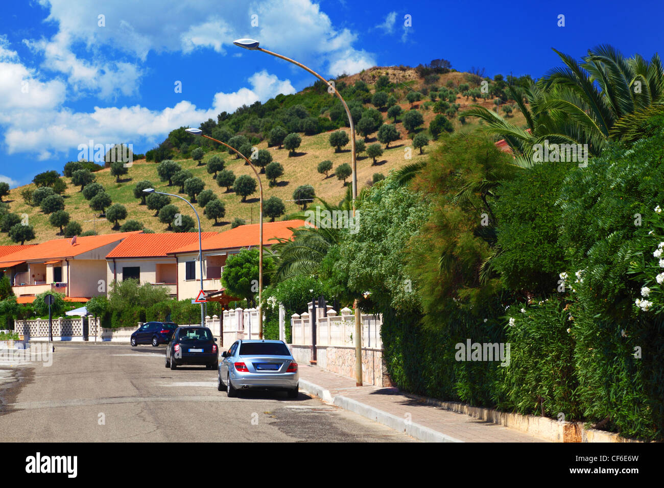 Cars park to sidewalks where are palm trees in residential area Stock Photo