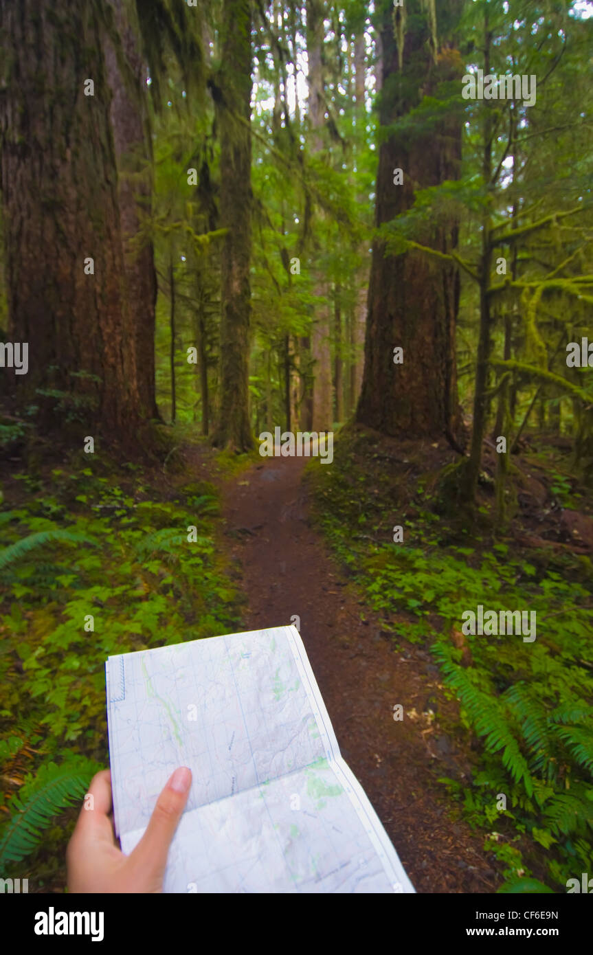 Using A Map To Guide You Down A Path Through The Forest; Alberta Canada ...