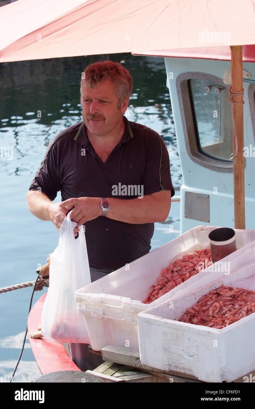 NORWAY Oslo Harbour Fisherman selling fresh prawns direct from his boat Stock Photo Alamy