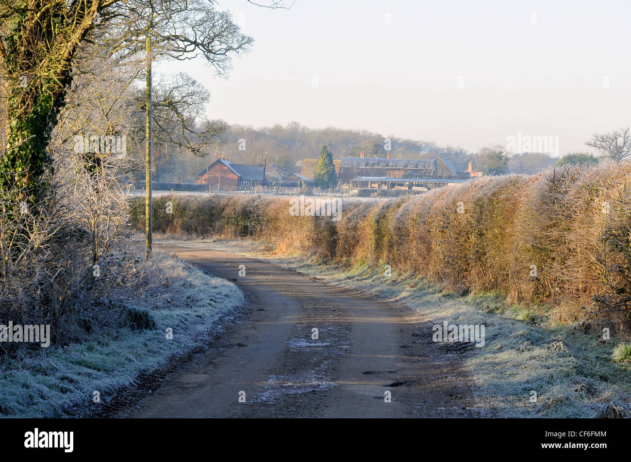 A lane lined by frost covered bushes and verges with farm buildings