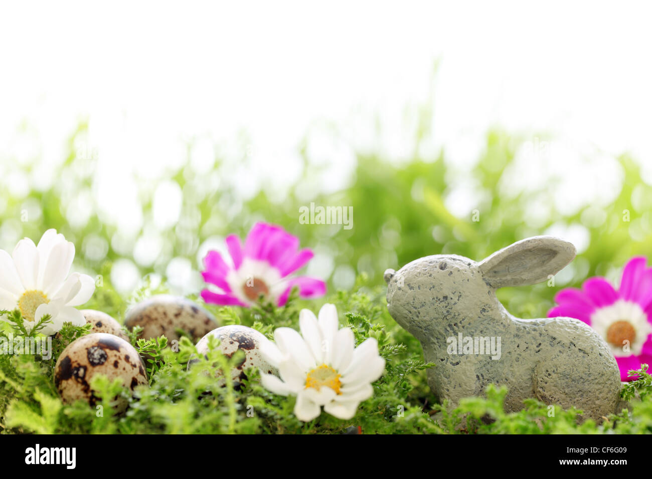 Rabbit figure,speckled easter eggs,colorful daisy on meadow. Stock Photo