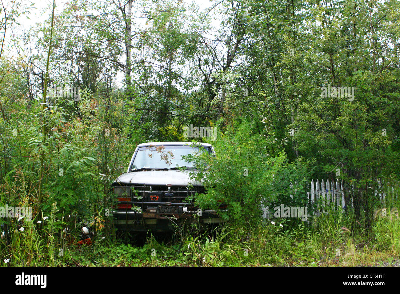 Old unused truck surrounded by trees and bushes Stock Photo