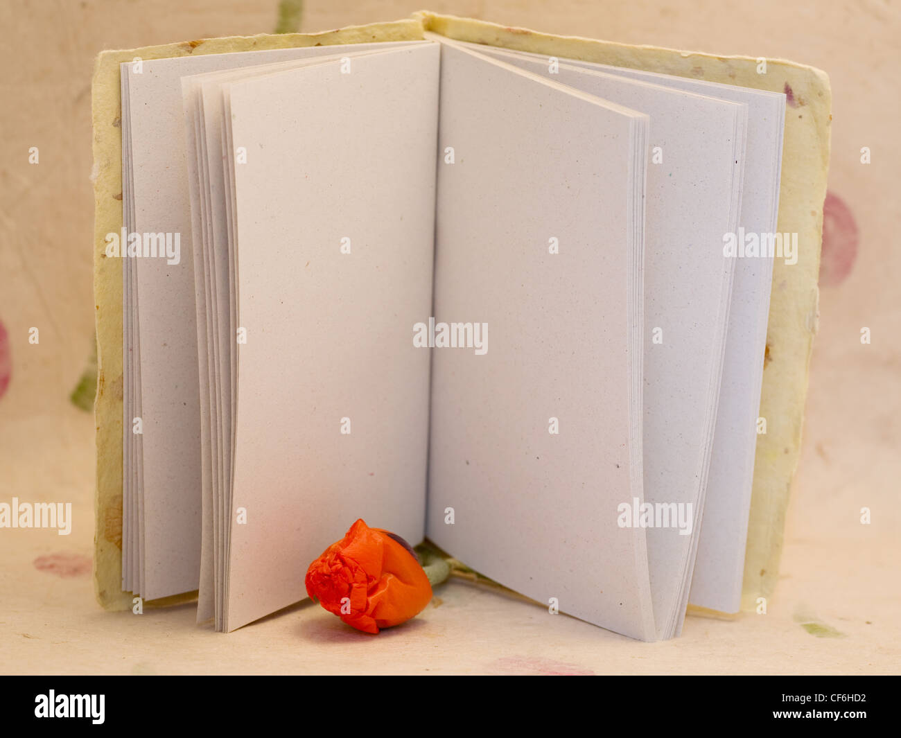 pad of paper with empty page and bud of poppy Stock Photo