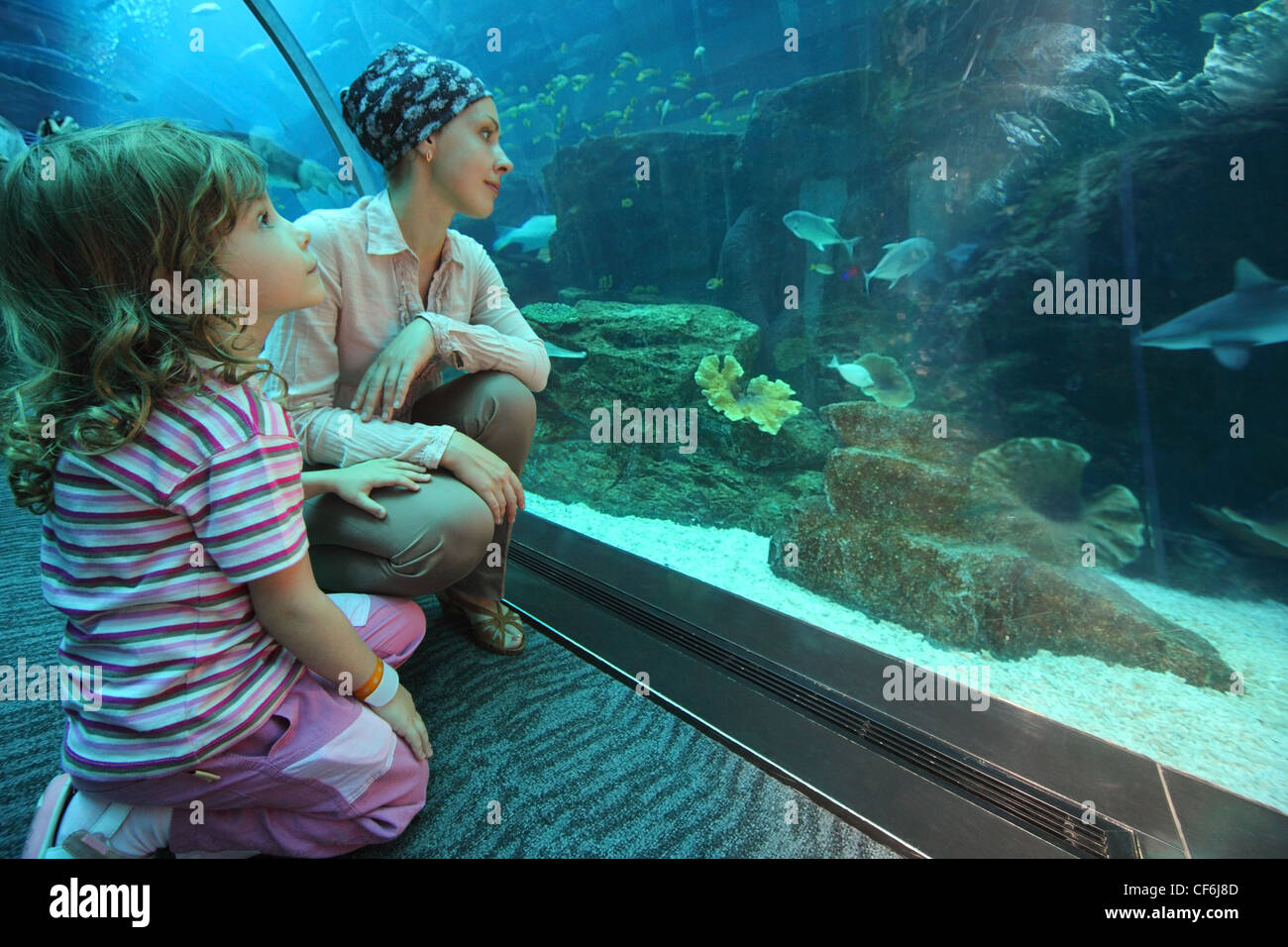 mother and daughter sitting on floor in underwater aquarium tunnel, wide angle Stock Photo