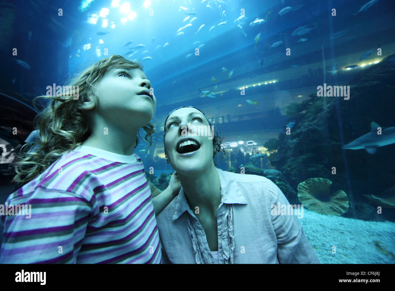 mother and daughter in underwater aquarium tunnel, amazement faces, wide angle Stock Photo