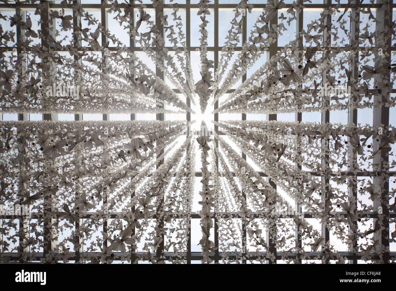 glass ceiling in public building decored with butterfly garlands, abstract background Stock Photo