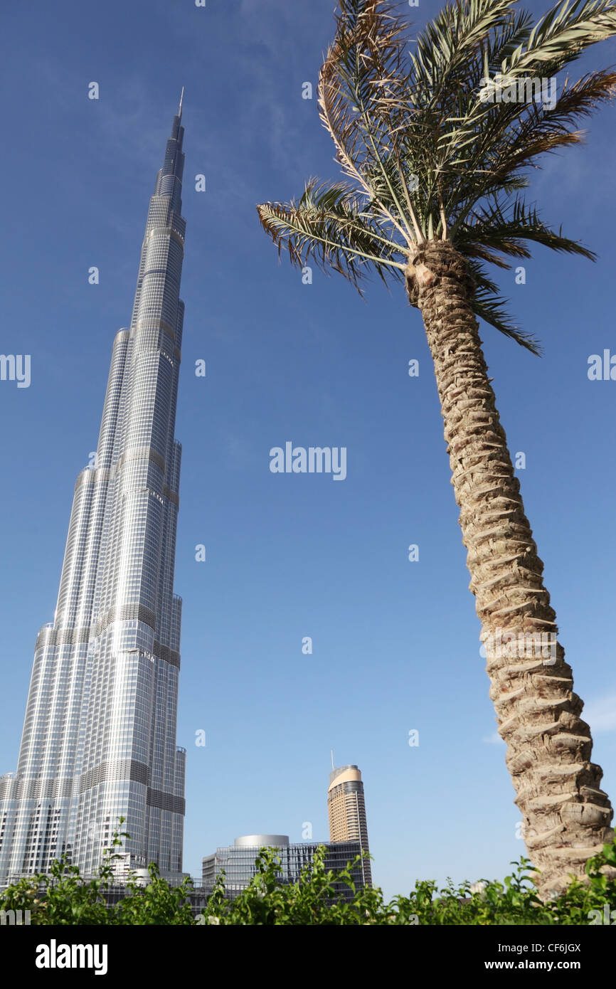 DUBAI - APRIL 17: Burj Dubai skyscraper, palm and plants in front, sunny day, 17 april 2010 in Dubai, UAE Stock Photo