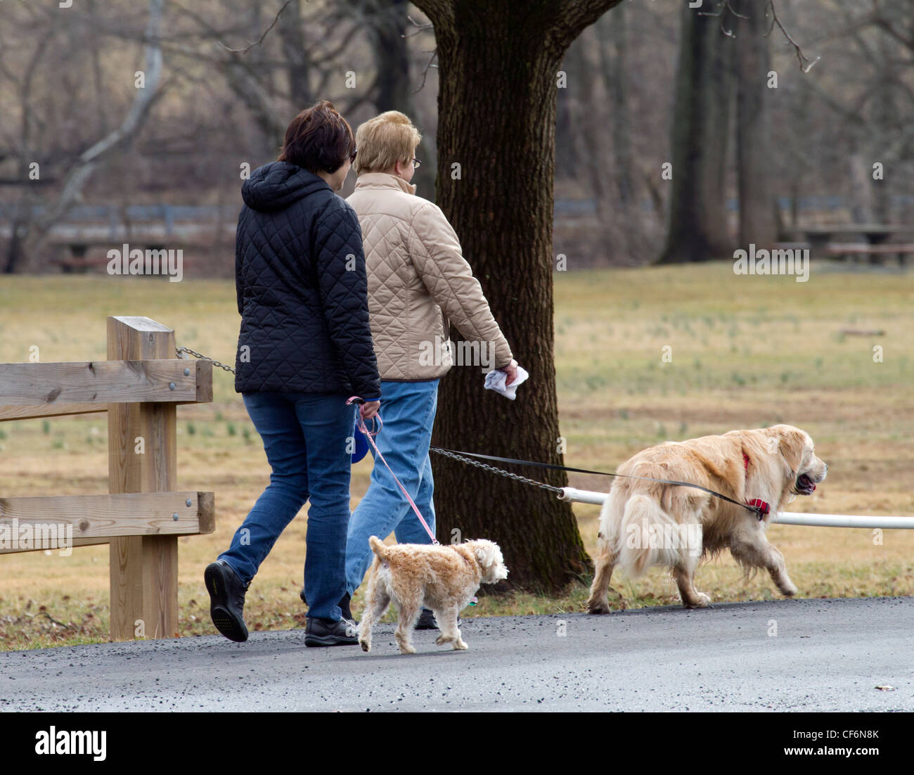 Two woman walking their dogs in the park Stock Photo - Alamy