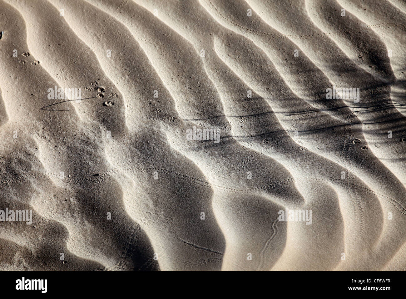 Wind textures on sand in Sahara Stock Photo