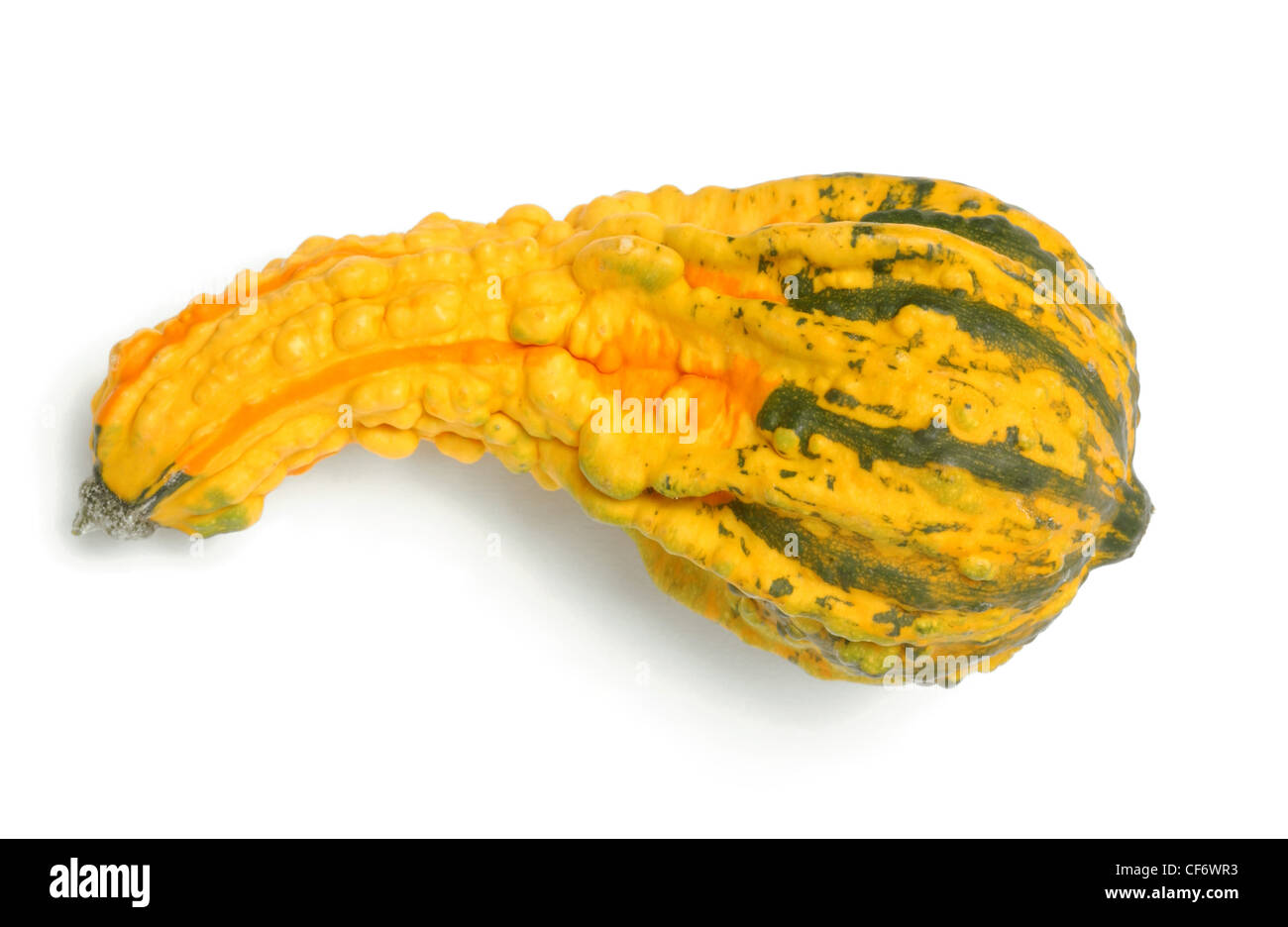 Bumpy orange, yellow and green squash against white background Stock Photo  - Alamy