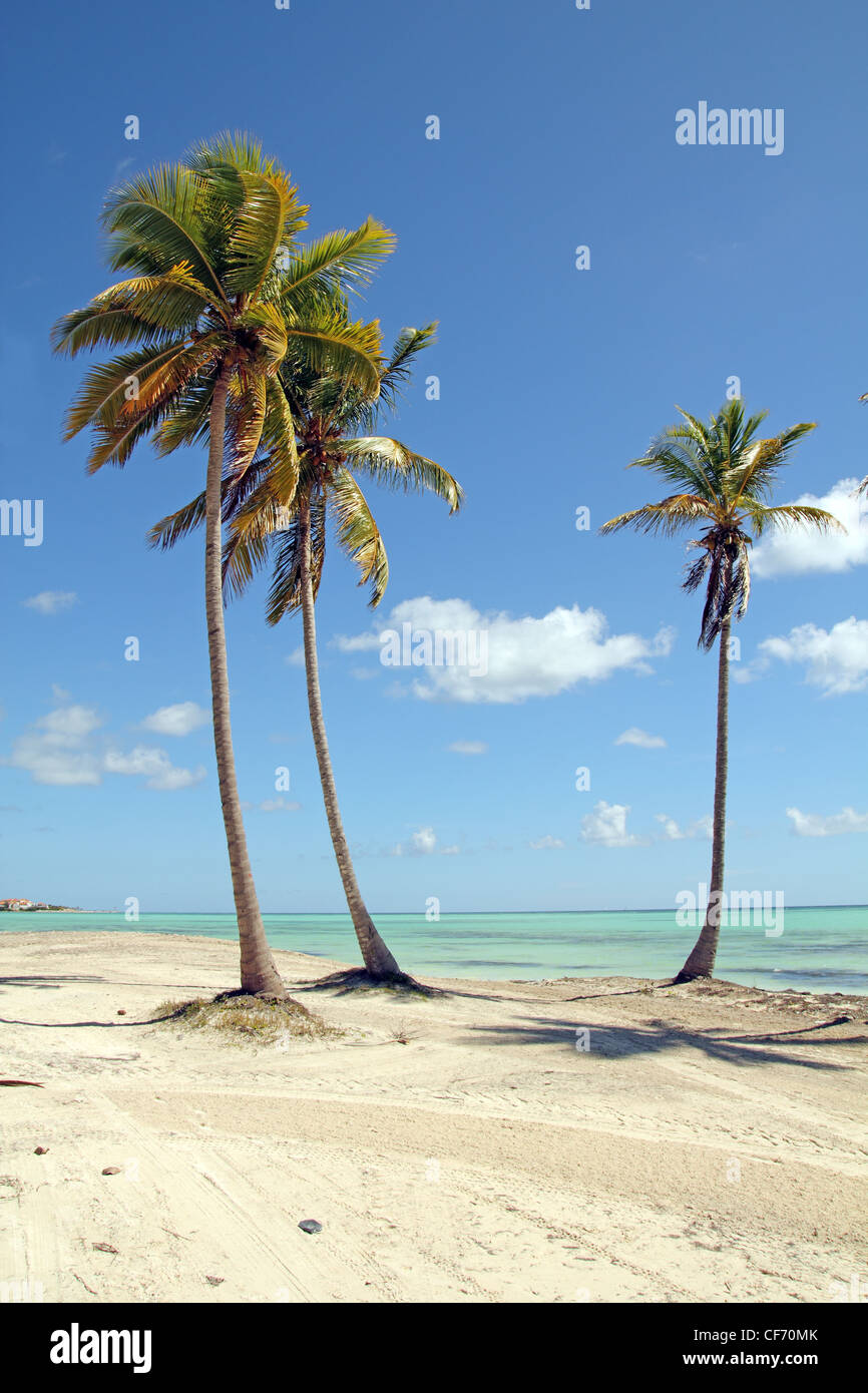Cap Cana beach Stock Photo Alamy