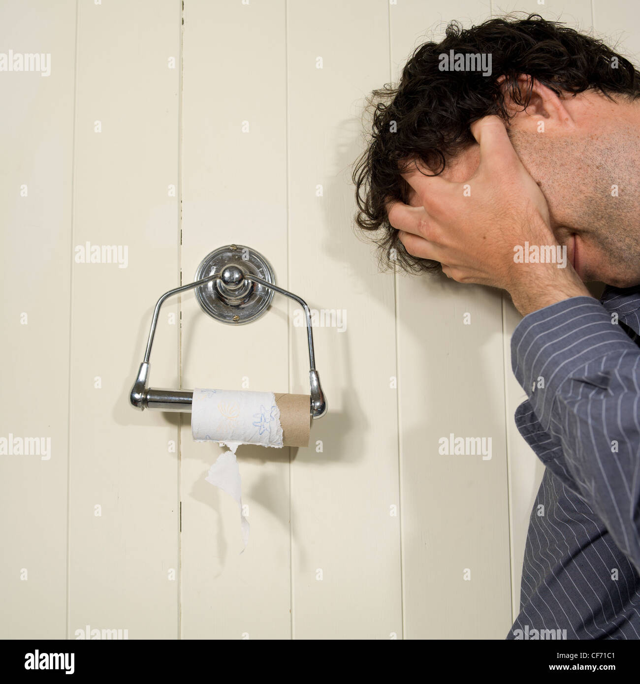 Empty toliet paper roll hires stock photography and images Alamy