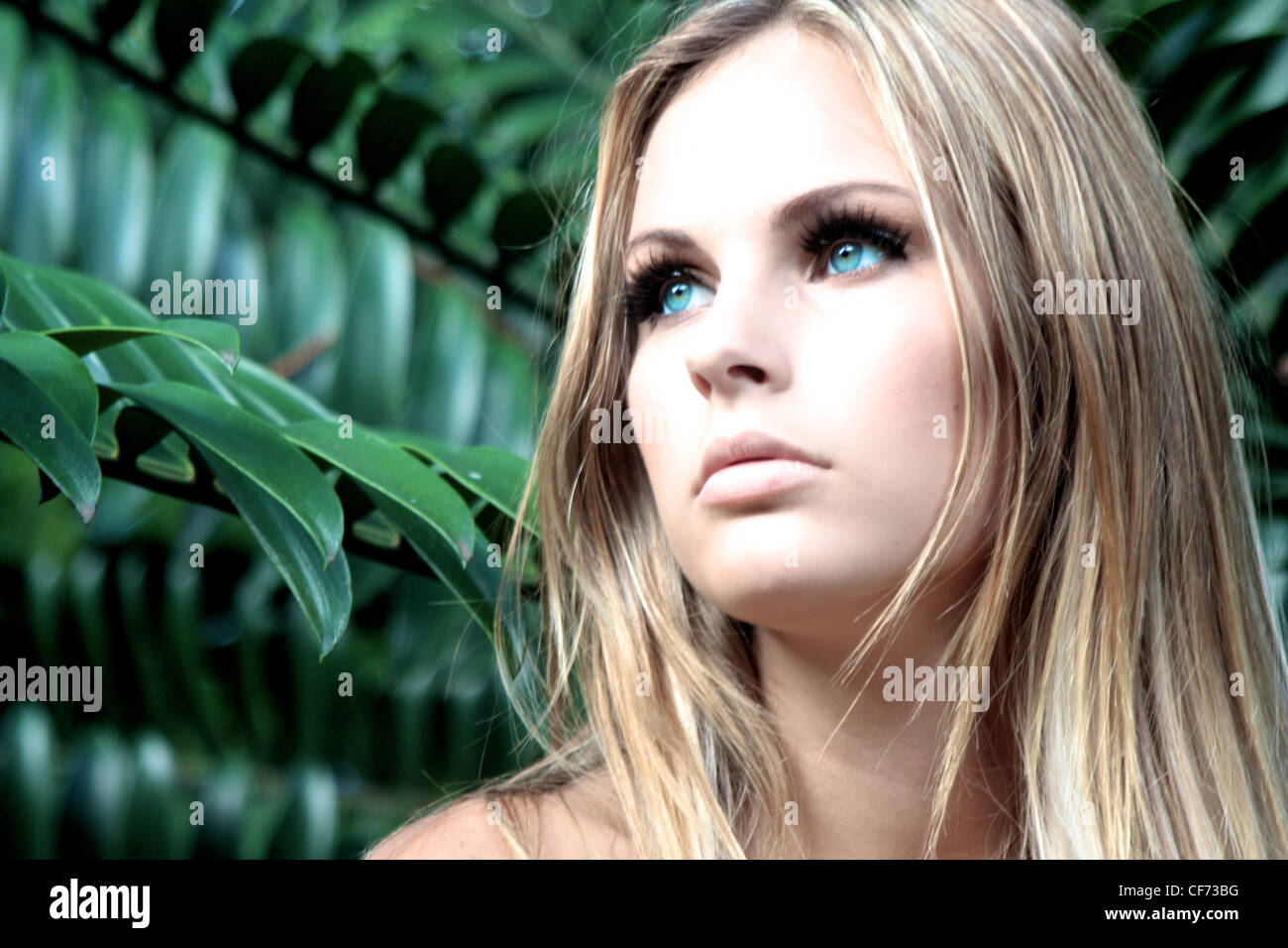 Botanic gardens durban kzn south hires stock photography and images