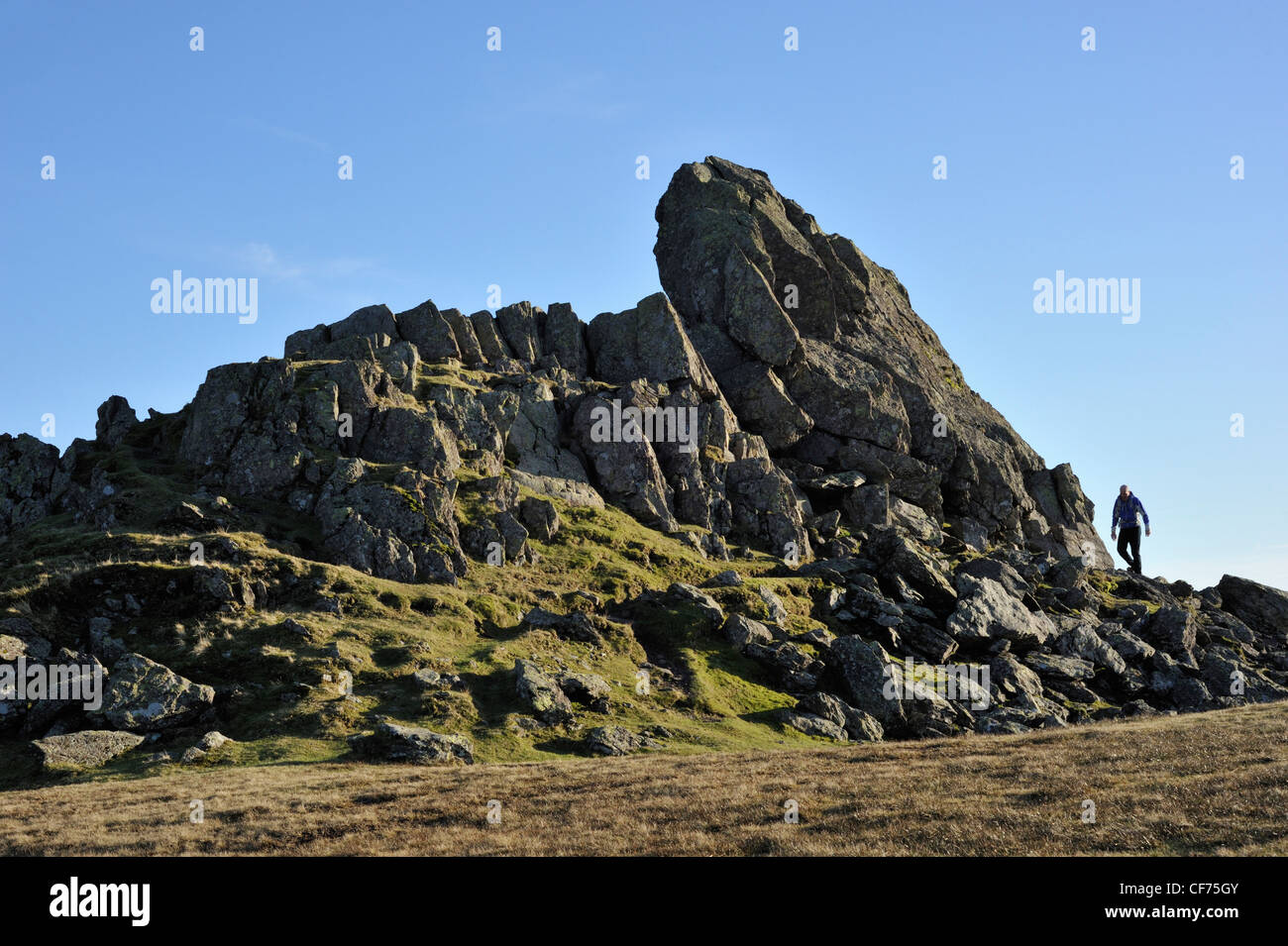 Walker on the summit rocks of Helm Crag. Easedale, Lake District National Park, Cumbria, England, United Kingdom, Europe. Stock Photo