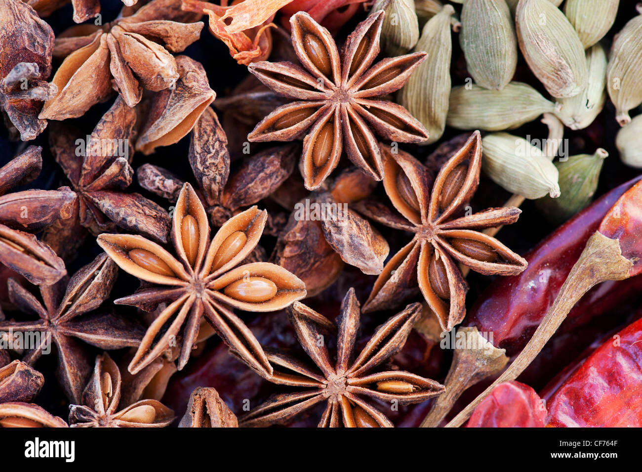Indian cooking spices pattern. Flat lay photography from above. Stock Photo
