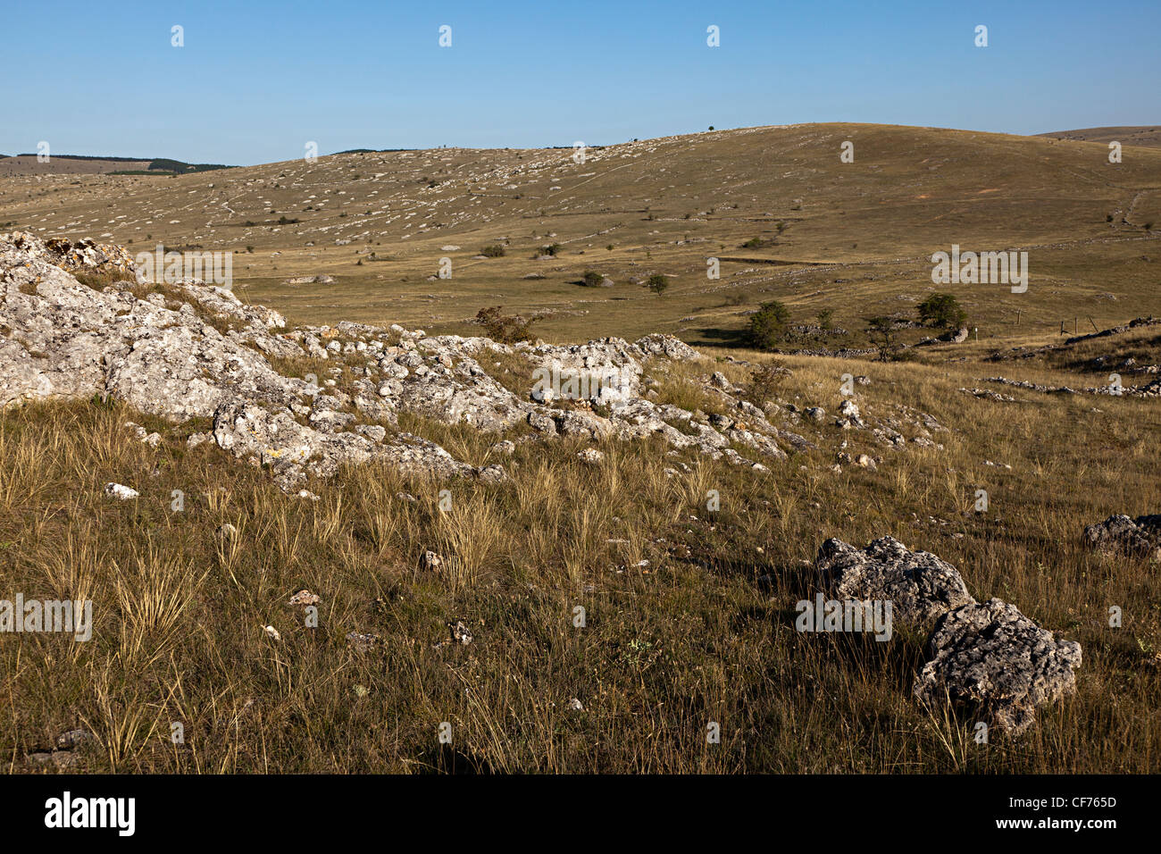 Rocky landscape of the karst Causse Mejean limestone plateau, Lozere, France Stock Photo