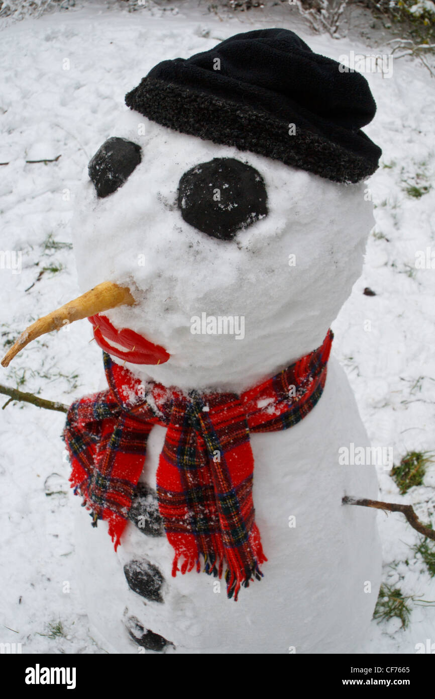 Snowman with coal eyes and tartan scarf Stock Photo Alamy