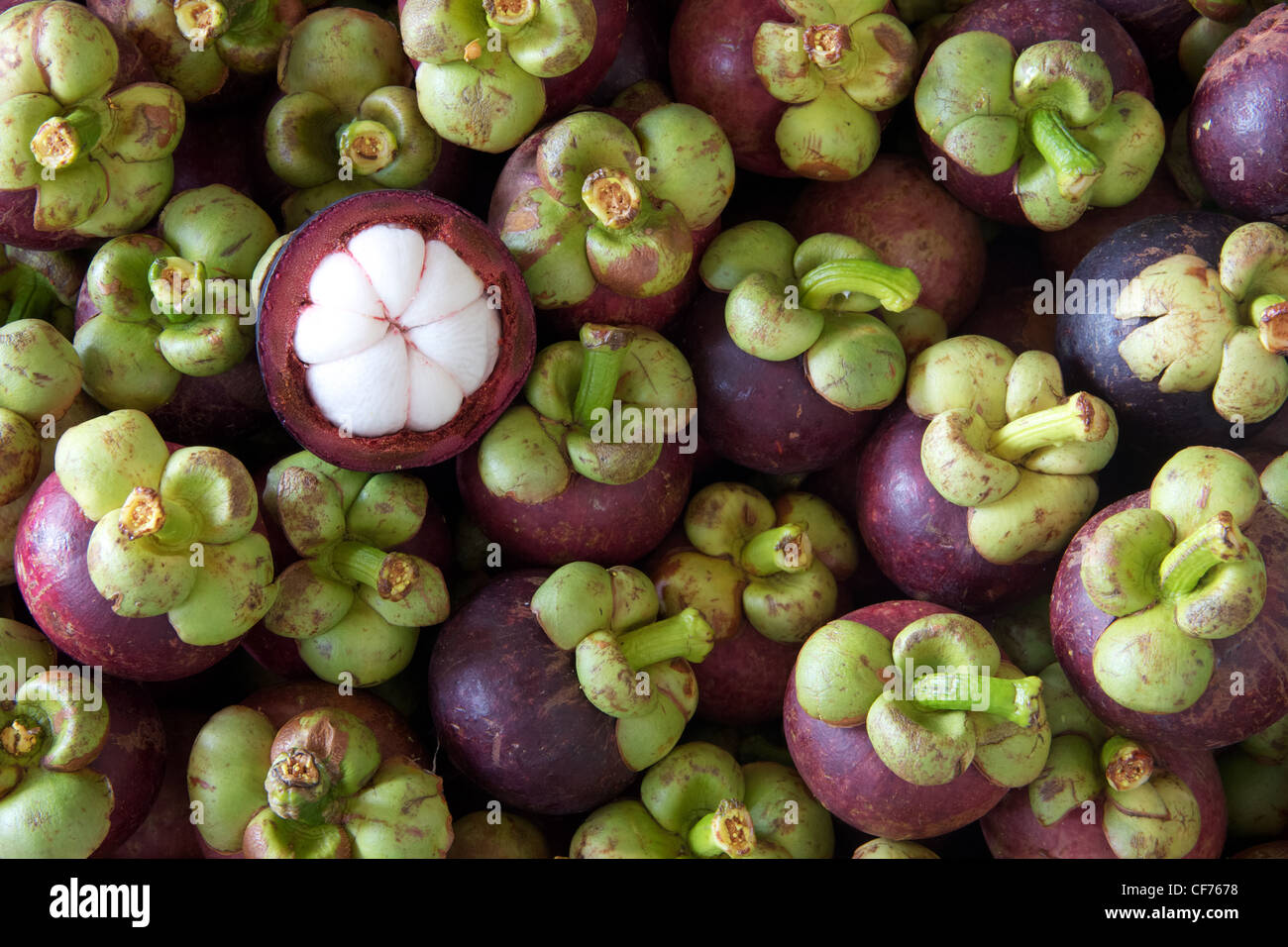 mangosteen queen of tropical fruits Stock Photo Alamy