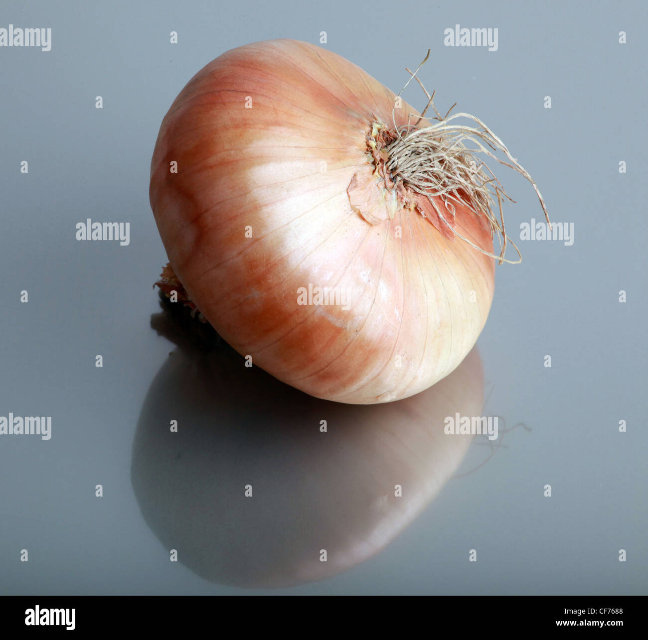 Onion router hi-res stock photography and images - Alamy